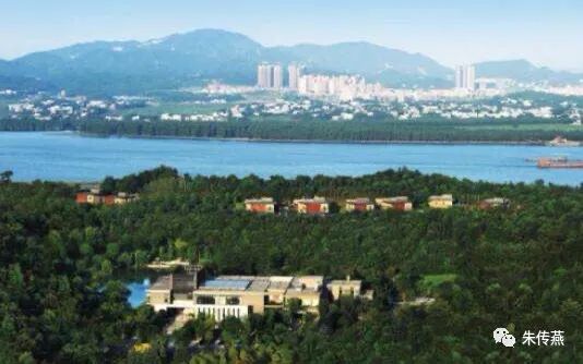 朱传燕美容店怎么样,美容院老板朱传燕