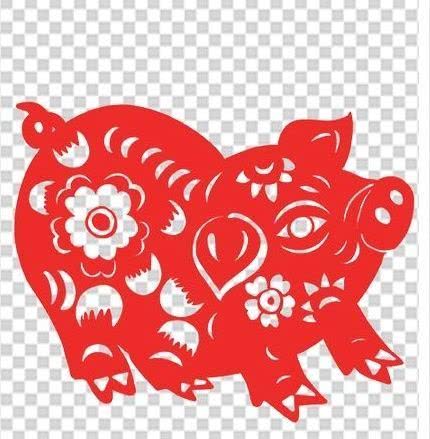 从丁亥到己亥—武昌水果湖中学六六届高三（1）班同学聚会本命年