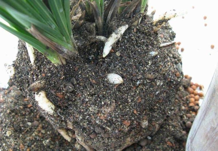 旧土翻新重新利用,如何改造旧土