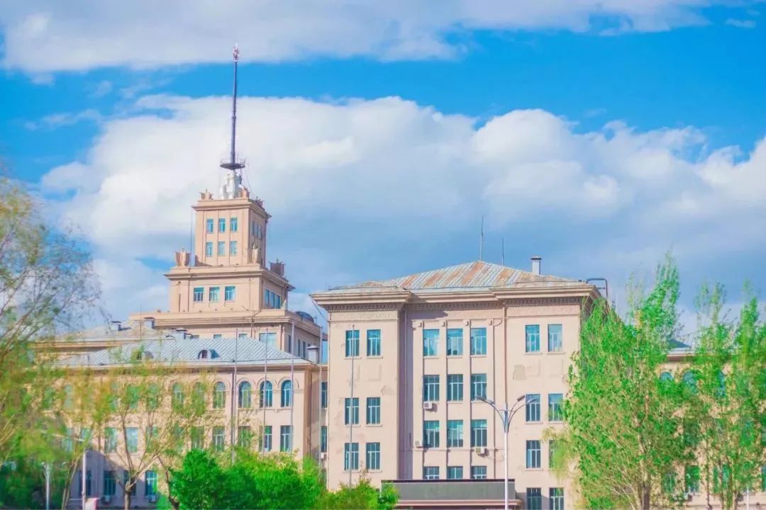 哈工大2023年毕业生就业质量报告,哈工大2019届毕业生升学情况