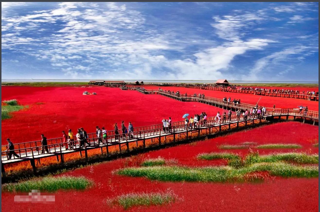 东北大连这个城市有发展前途吗,东北第一大城市是大连吗