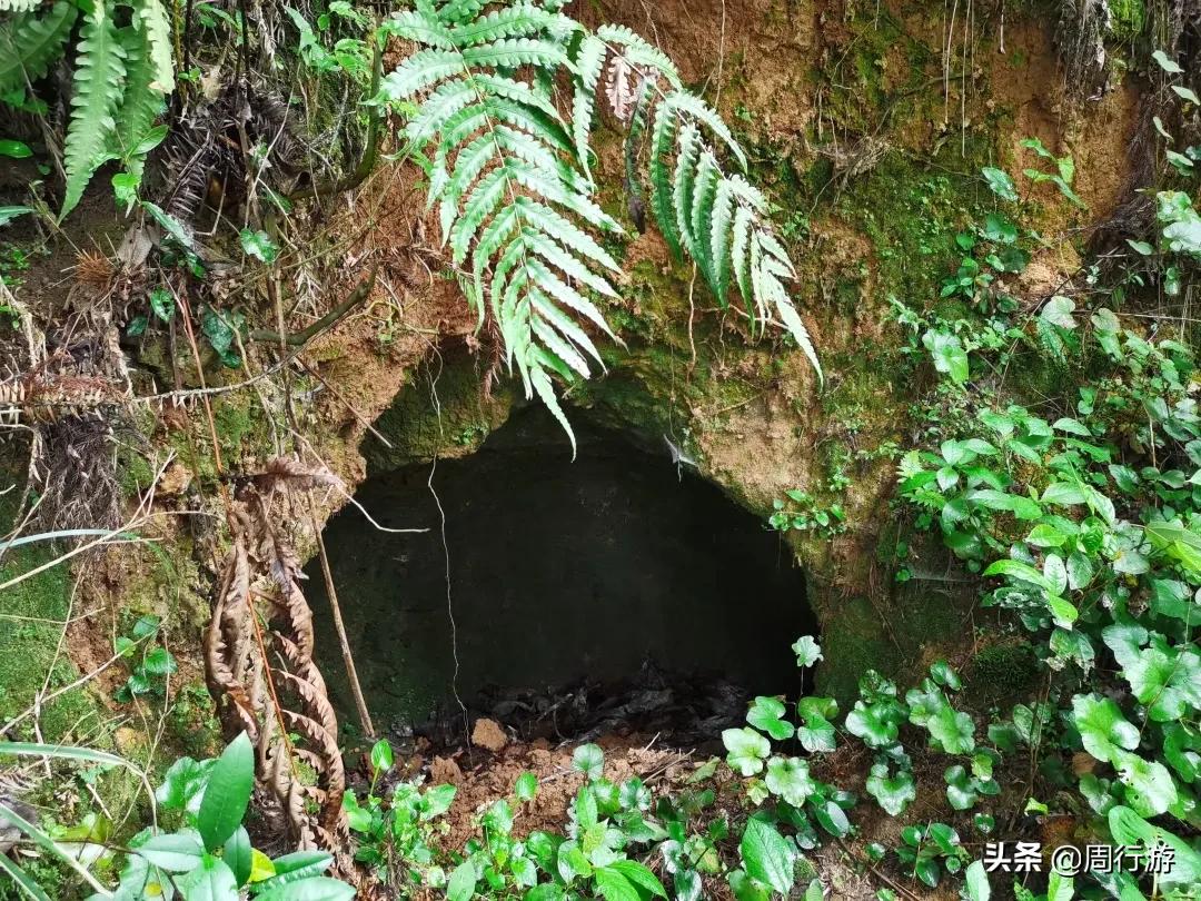 温州文成岭后烂井湖,虽繁华不再,却也有着属于它的传奇故事