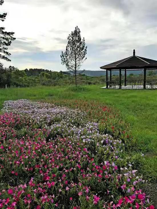 漠河北极村冬天,漠河北极村住宿价格表