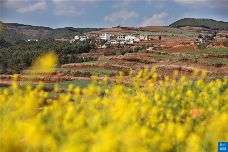 云南红土地共有几个景点,最美云南之东川红土地