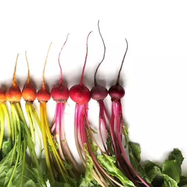 唯有美食治愈强迫症患者,强迫症吃各种美食