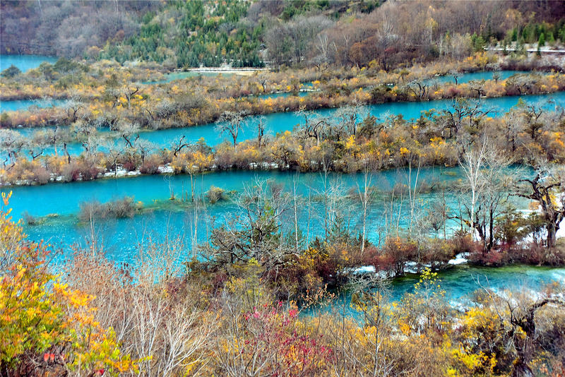 置身于童话中的九寨沟,畅游人间仙境黄龙九寨沟七日游