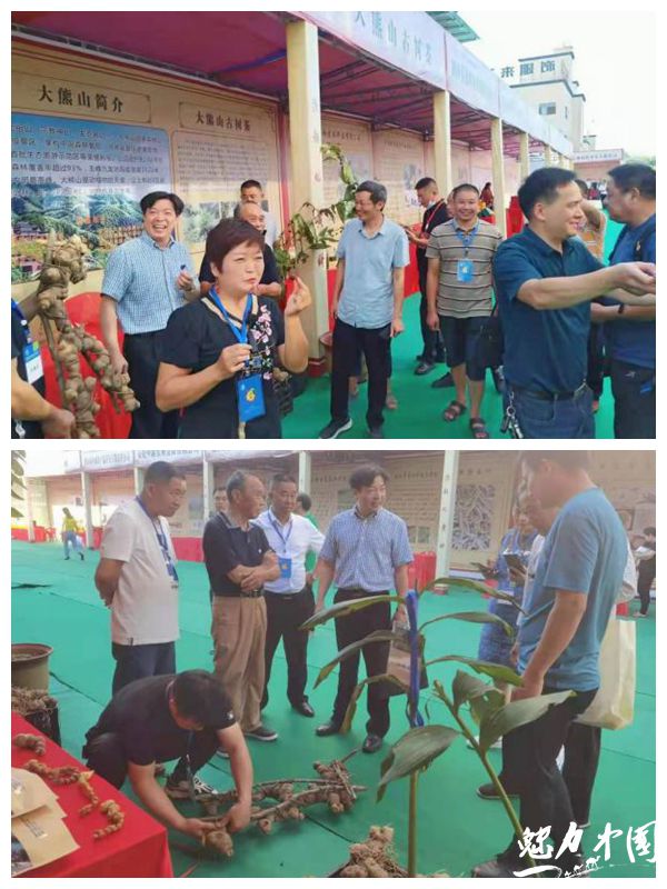 长白山土特产第一名,大熊山土特产礼品是什么