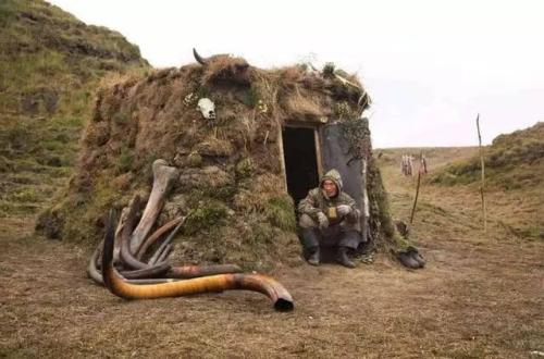 猛犸象发现在哪里,猛犸象在哪里发现的