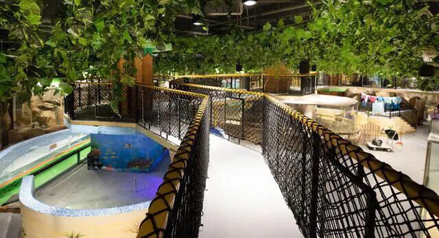 深圳十大暑假室内必去景点,深圳暑假值得带孩子旅游的地方