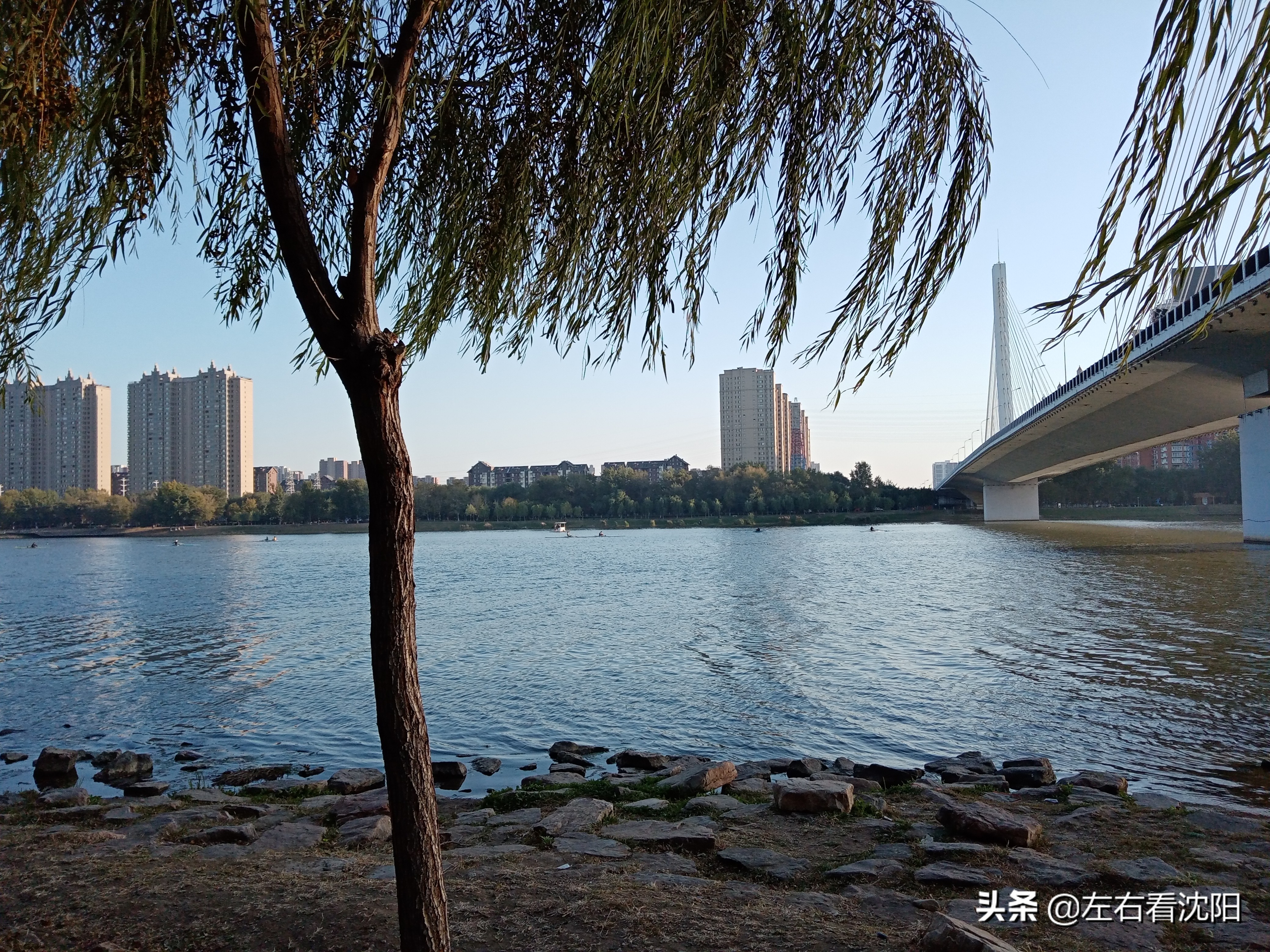 沈阳五里河公园攻略,沈阳五里河公园现在开吗