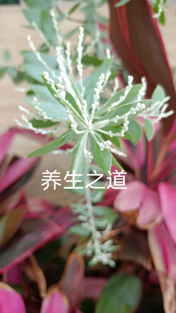 心血管功能失调怎么疗养,心脑血管疾病跟肝肾不足有关系吗