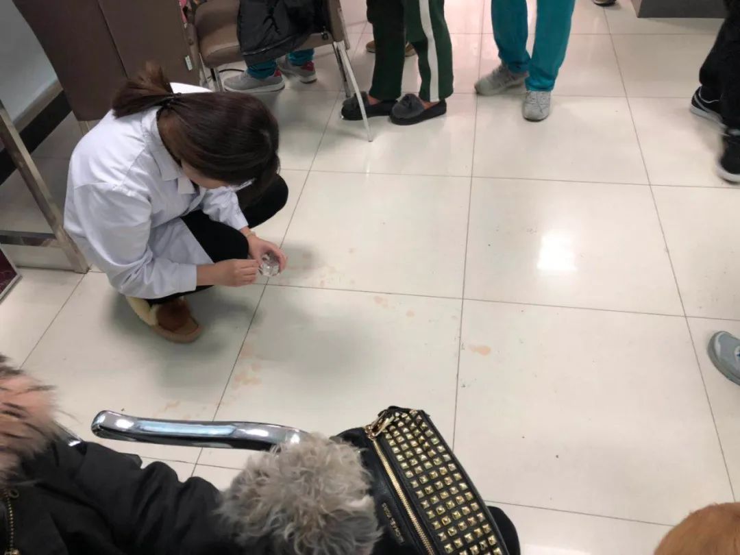 小佩宠物饮水机漏水,小佩饮水机漏电对宠物有害吗