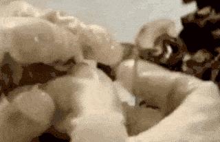 腰果科普知识,腰果哪部分有毒