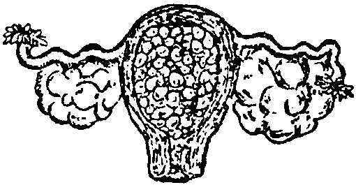 怀孕2个多月没有胚芽还出血,怀孕检查孕囊像葡萄怎么办