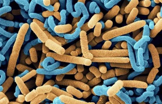 肺部感染抗生素通常多久有效果,肺部感染使用抗生素加重后如何办