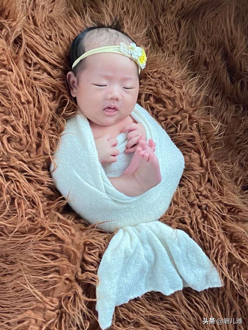 风沙中坚守,风沙中的守护