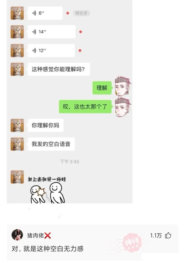 搞笑段子：骑上我心爱的小乌龟