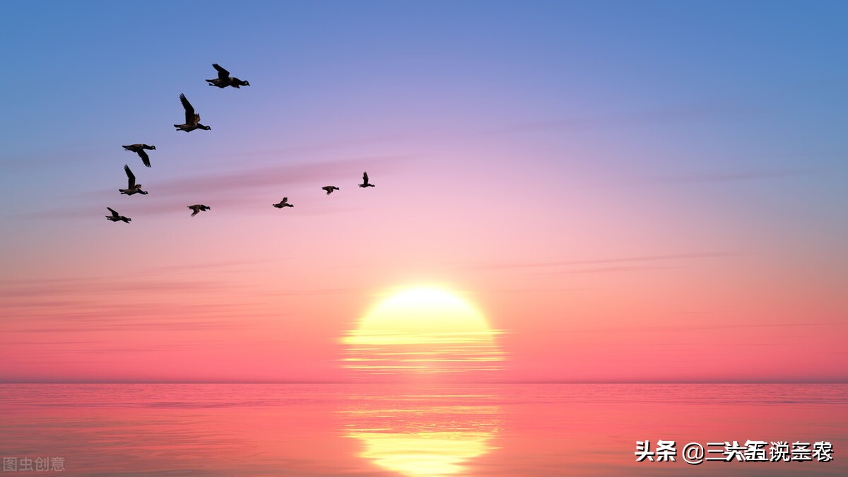 今年重阳节晴预示明年是涝还是旱,今天重阳节天气晴朗代表什么