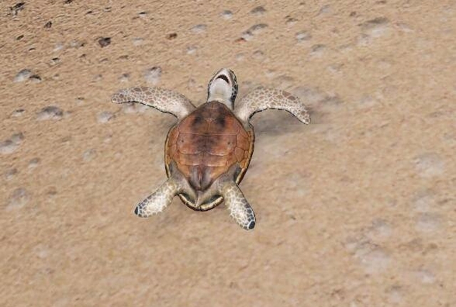 剑网3世外蓬莱和哪个区合区了,剑网三2022年蓬莱pvp攻略