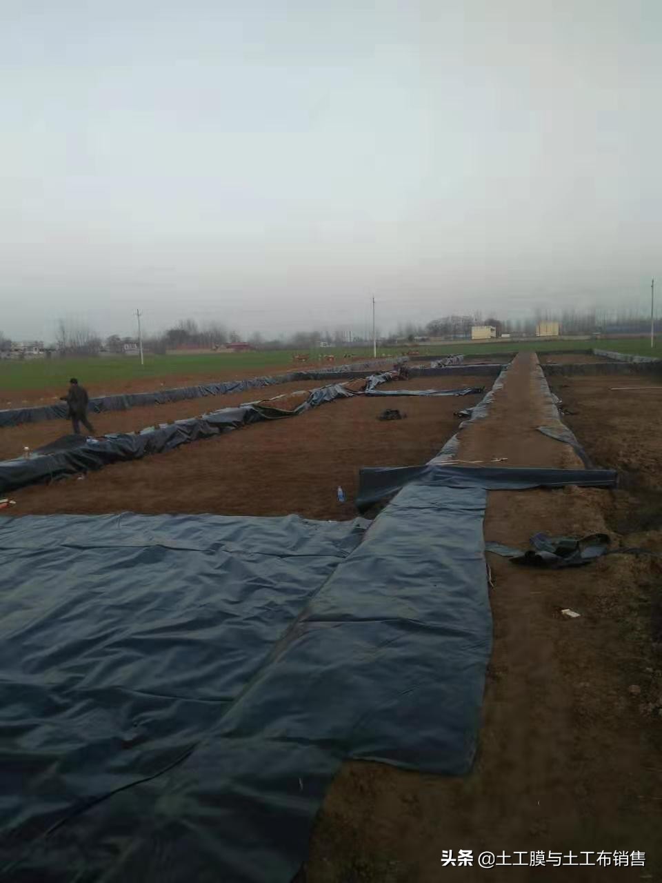 莲藕产业经济效益高的栽培模式-莲藕专用膜的投入与使用