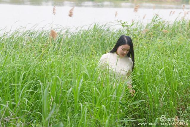 大美新蔡生态水城,大美新蔡等你来