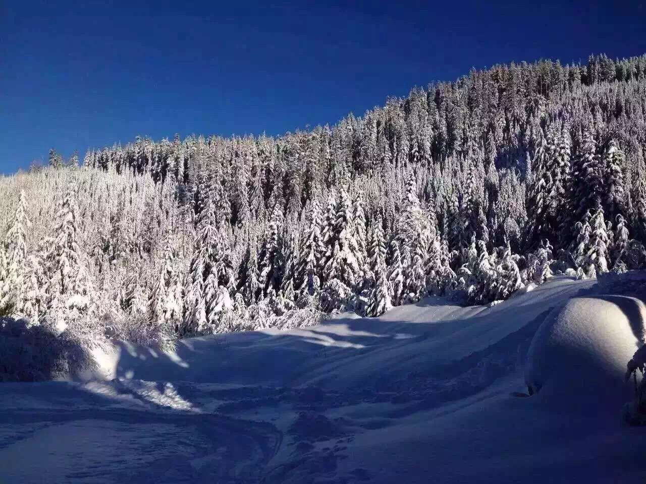 移动互联网营销的该怎么做？打通心法，你将所向披靡