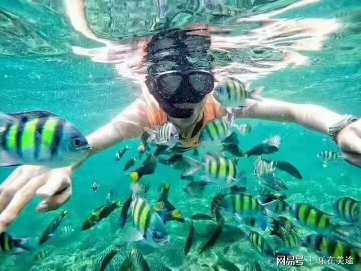 出差到泰国的必备物品清单,泰国旅游必买小黑瓶物品清单