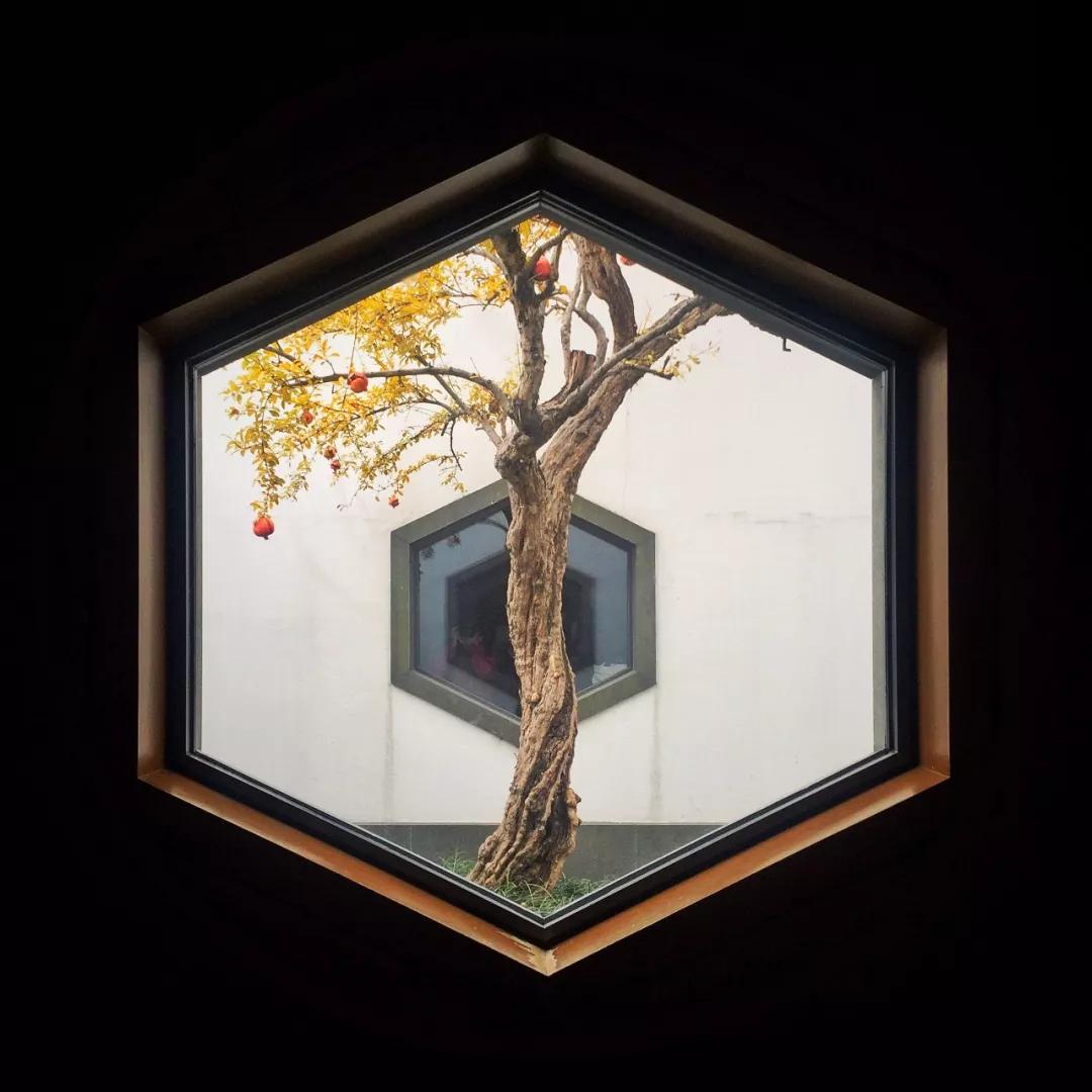 朋友圈赞爆的照片,赞爆朋友圈的小视频