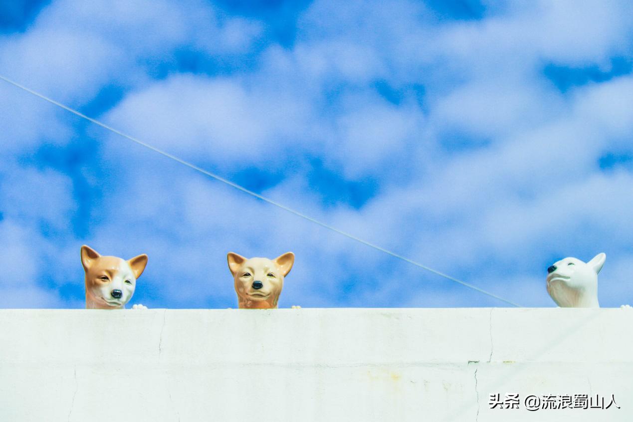 韩国初见,初见韩国版