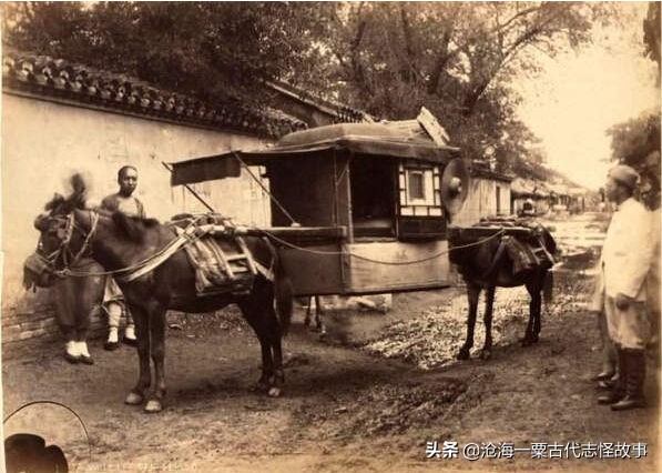 古代志怪故事白话,古代志怪故事虎妖