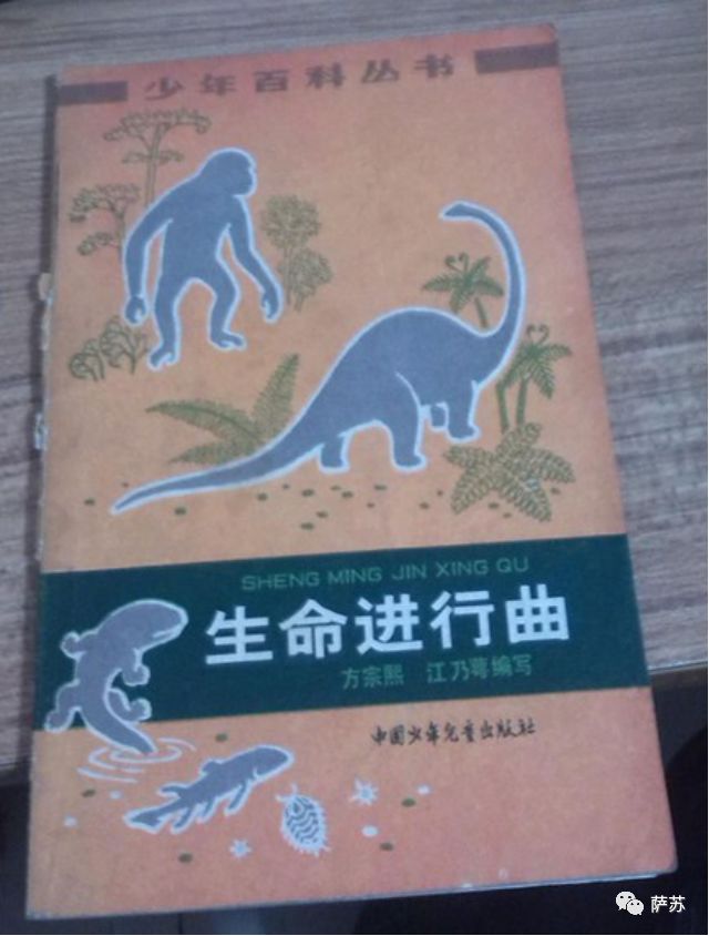 猛犸象灭绝是人类导致的吗,猛犸象灭绝原因的推测有几点