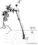 光现象初中物理北师大版知识点,物理中考光现象真题