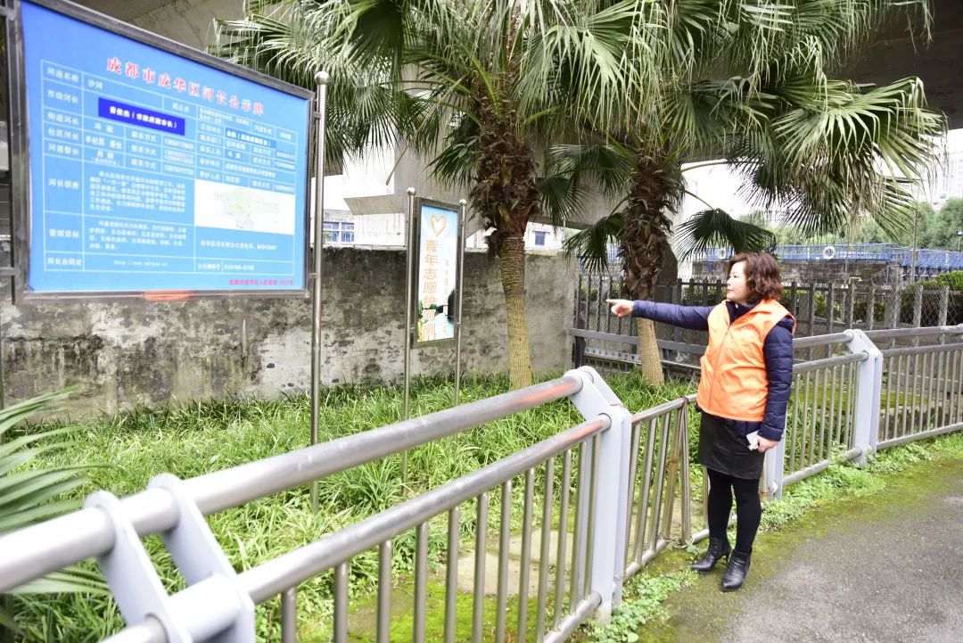 成华头条杉板桥,成华头条正能量