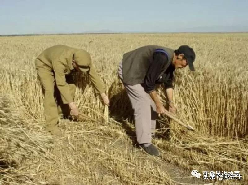 甘肃人有话说吗 (甘肃话说甘肃)