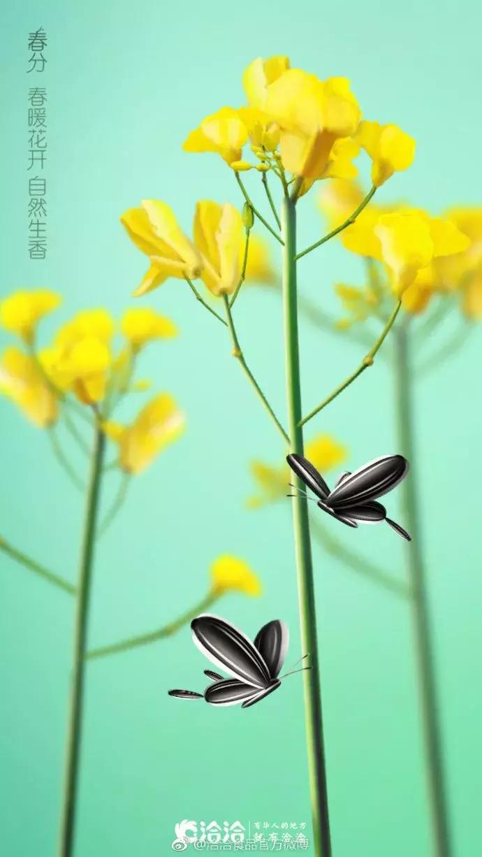 春分节气借势海报文案80句,春分借势广告