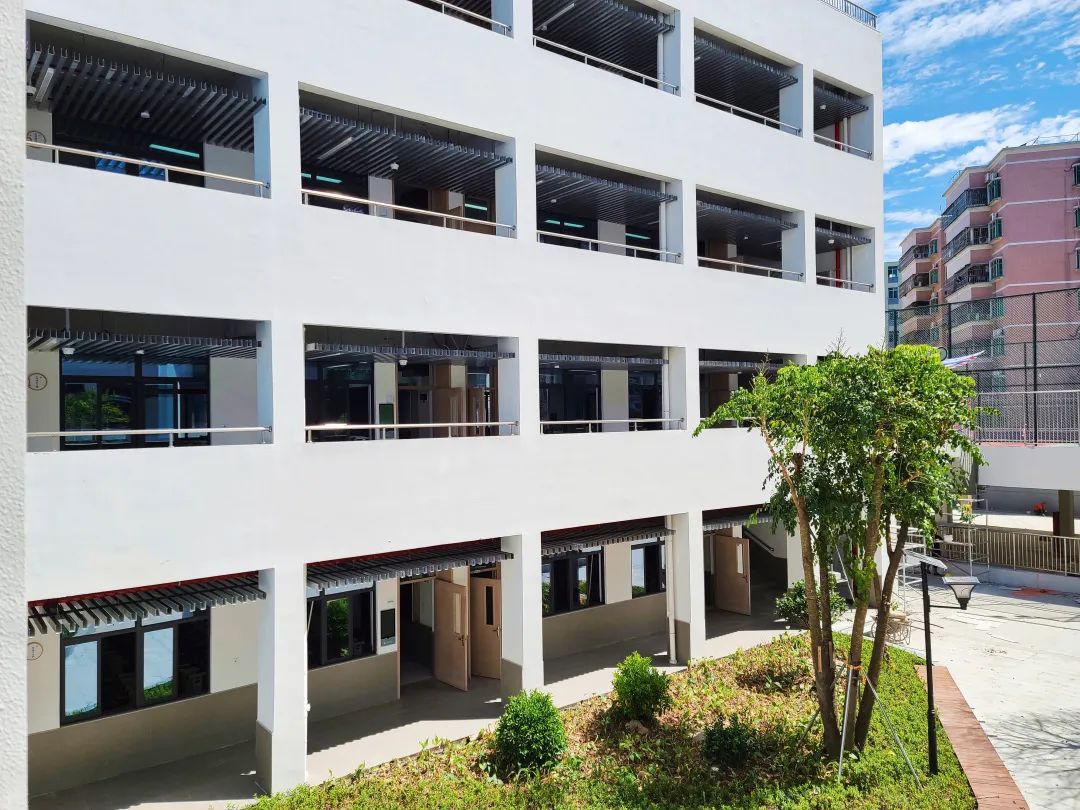 珠光路小学刚建时的照片,珠光小学现在变成什么样了