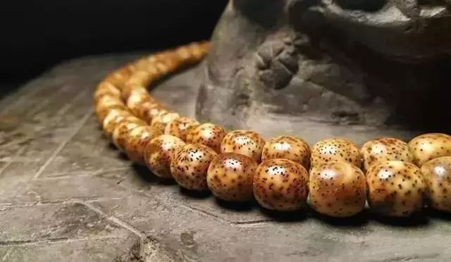 值得盘玩的几种星月,星月各种品种玩出来的区别