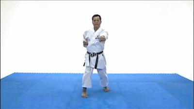 空手道基本功gif,空手道gif