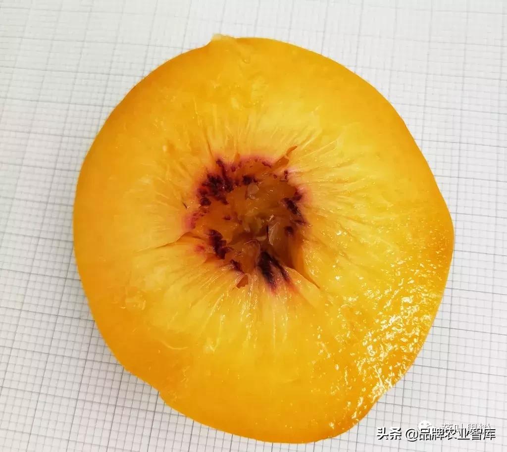 黄蟠桃和黄油蟠桃哪个更好,黄油蟠桃2019