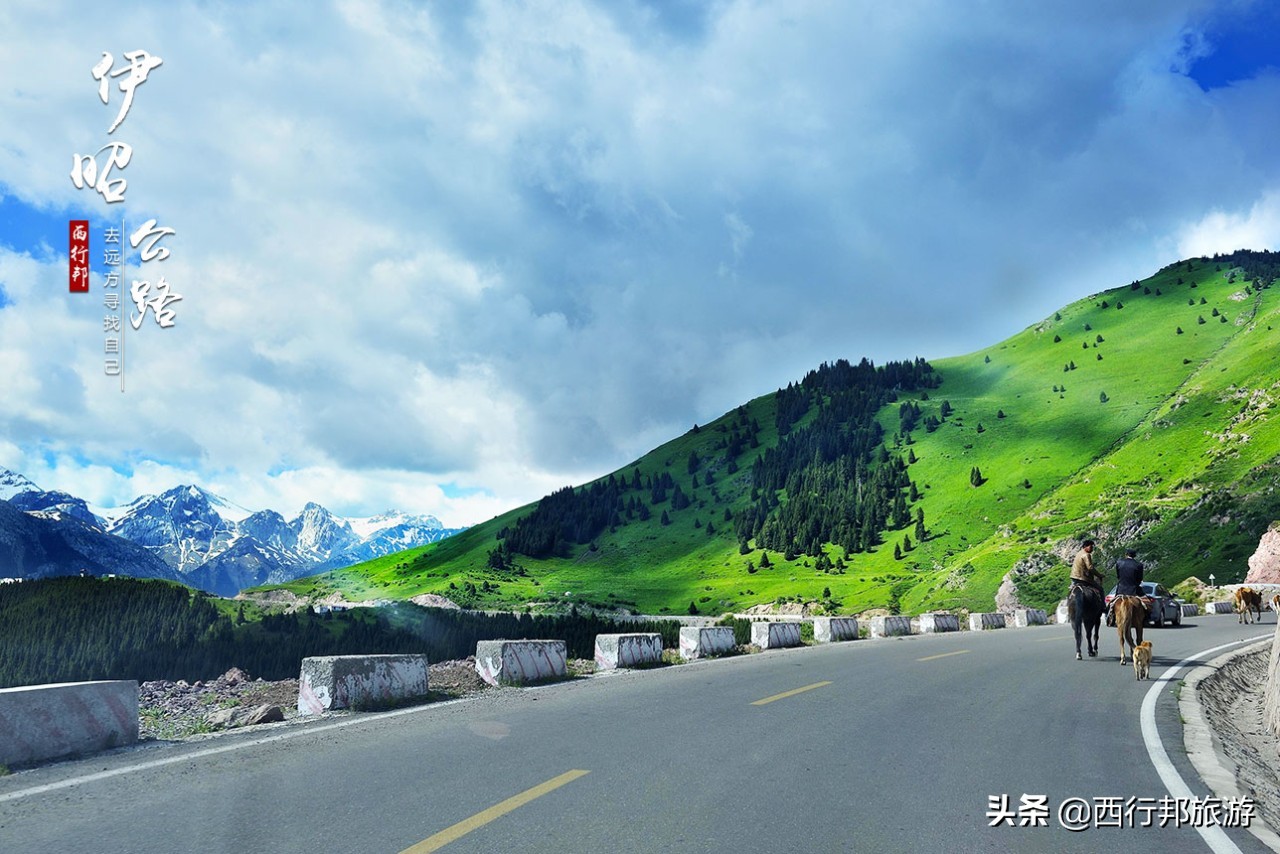 哼，又想「骗」我去*疆新**旅游！