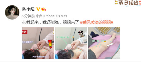 隆鼻张柏芝鼻型,浪姐张柏芝新消息