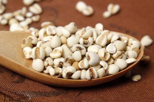 薏苡仁是健脾的还是祛湿的,中药生薏苡仁的功效与作用