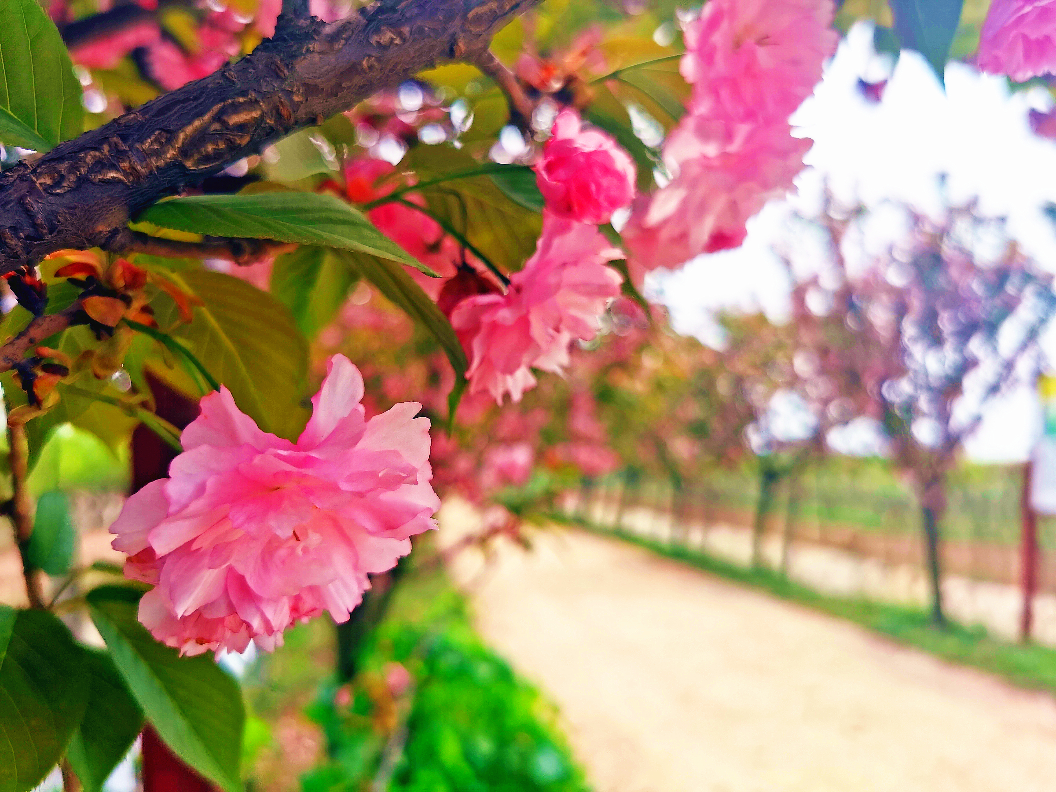 野趣大自然亲子农场攻略一日游,周末驾到
