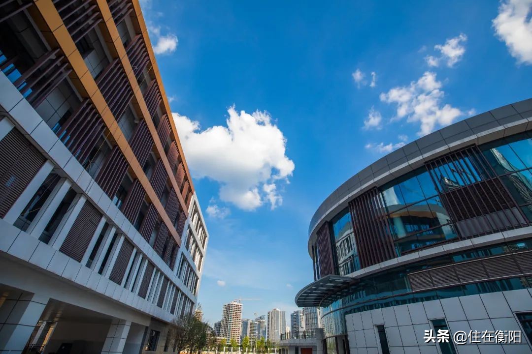 300亿，陆家新区变成什么样了？