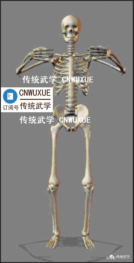 以武入道站桩,站桩如何入道