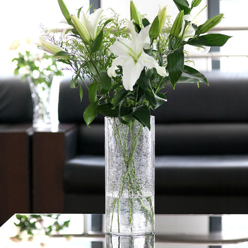 想养好富贵竹,如何养好富贵竹才能长得更快