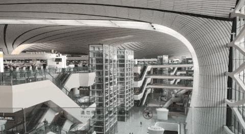 这牛太厉害了,这哥们太牛了