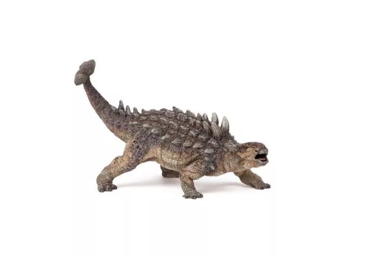 百科英语|甲龙:我自有盔甲,大型食肉龙也不怕