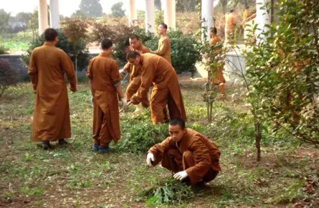 农禅并重的意义,农禅并重的寺院