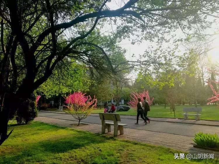 春天里最美的遇见歌曲,春天最美的文案就是油菜花